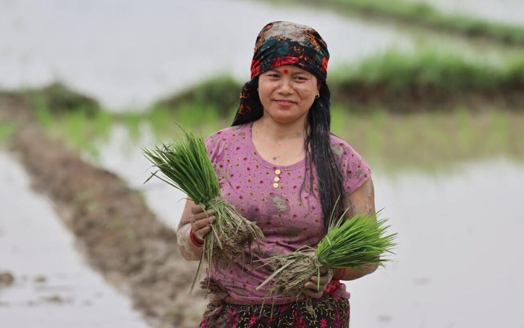 Thailand: Entrepreneur Turning Straw into Paper.